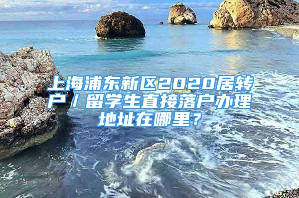 上海浦東新區(qū)2020居轉(zhuǎn)戶／留學(xué)生直接落戶辦理地址在哪里？