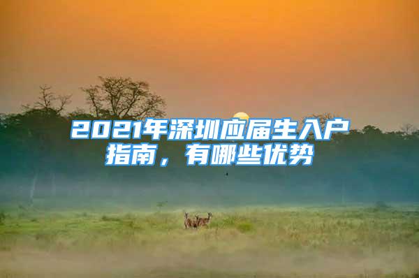 2021年深圳應(yīng)屆生入戶指南，有哪些優(yōu)勢