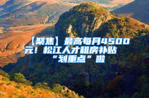 【聚焦】最高每月4500元！松江人才租房補貼“劃重點”啦