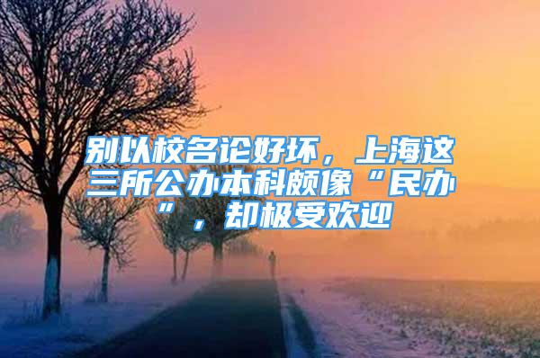 別以校名論好壞，上海這三所公辦本科頗像“民辦”，卻極受歡迎