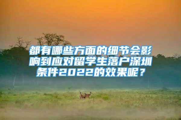 都有哪些方面的細節(jié)會影響到應(yīng)對留學生落戶深圳條件2022的效果呢？