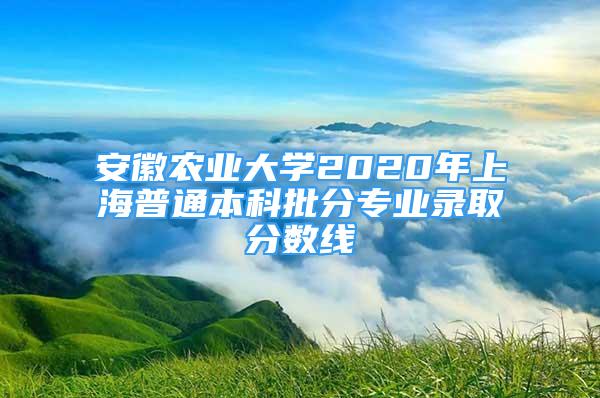 安徽農業(yè)大學2020年上海普通本科批分專業(yè)錄取分數線