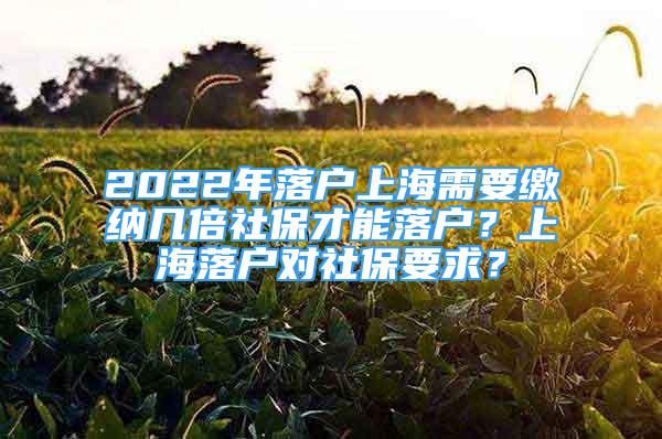 2022年落戶上海需要繳納幾倍社保才能落戶？上海落戶對社保要求？