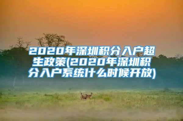 2020年深圳積分入戶超生政策(2020年深圳積分入戶系統(tǒng)什么時候開放)