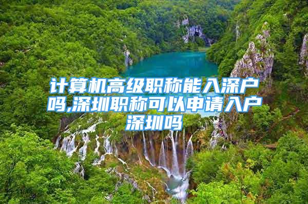 計算機高級職稱能入深戶嗎,深圳職稱可以申請入戶深圳嗎