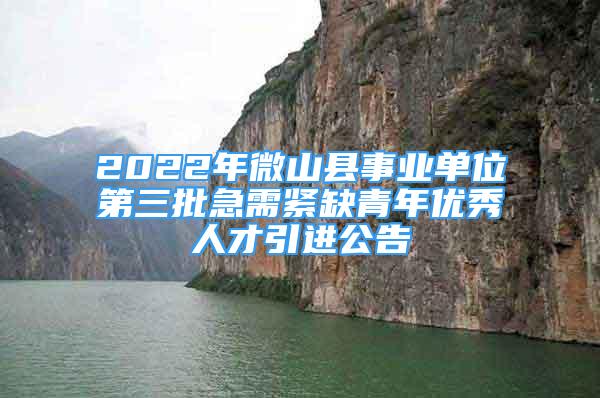 2022年微山縣事業(yè)單位第三批急需緊缺青年優(yōu)秀人才引進(jìn)公告