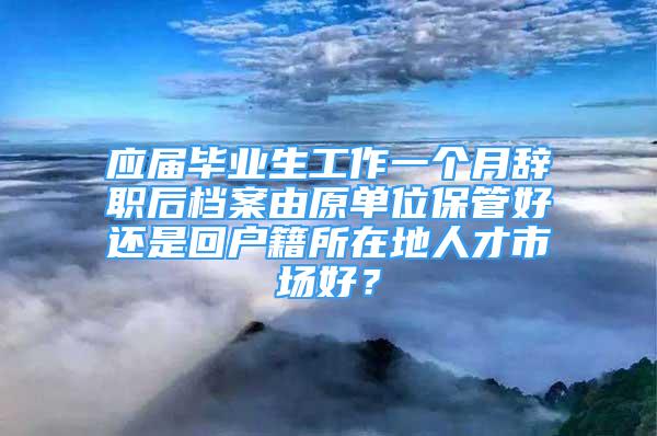 應(yīng)屆畢業(yè)生工作一個月辭職后檔案由原單位保管好還是回戶籍所在地人才市場好？