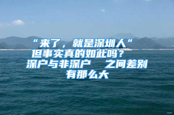 “來了，就是深圳人”  但事實(shí)真的如此嗎？  深戶與非深戶  之間差別有那么大