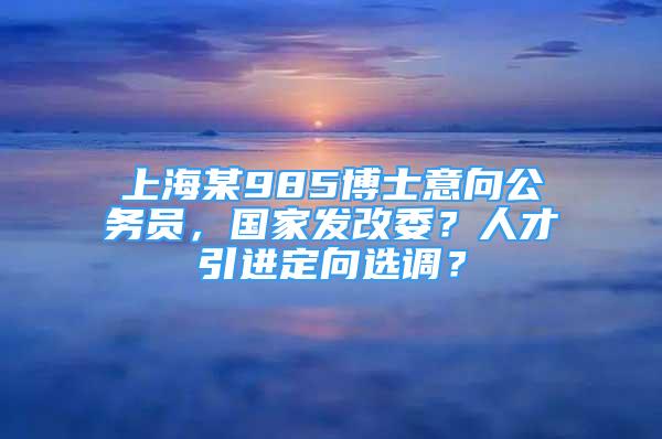 上海某985博士意向公務(wù)員，國(guó)家發(fā)改委？人才引進(jìn)定向選調(diào)？