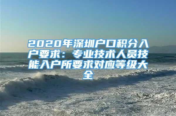 2020年深圳戶口積分入戶要求：專業(yè)技術(shù)人員技能入戶所要求對應(yīng)等級大全