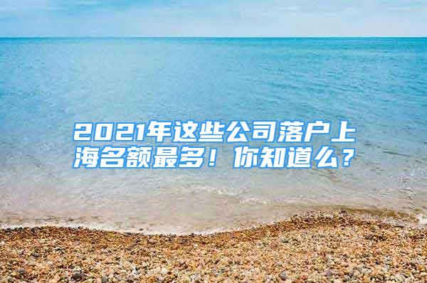 2021年這些公司落戶上海名額最多！你知道么？