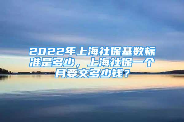 2022年上海社?；鶖?shù)標準是多少，上海社保一個月要交多少錢？