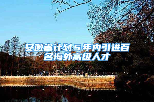 安徽省計劃５年內(nèi)引進百名海外高級人才