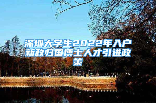 深圳大學(xué)生2022年入戶新政歸國博士人才引進(jìn)政策