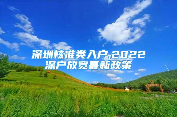 深圳核準(zhǔn)類入戶,2022深戶放寬蕞新政策