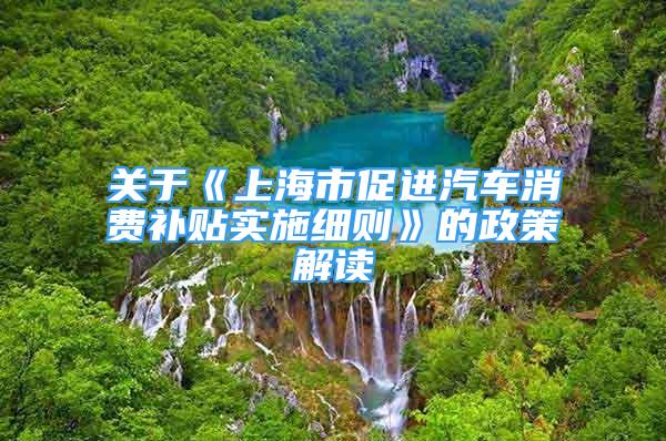 關(guān)于《上海市促進汽車消費補貼實施細則》的政策解讀