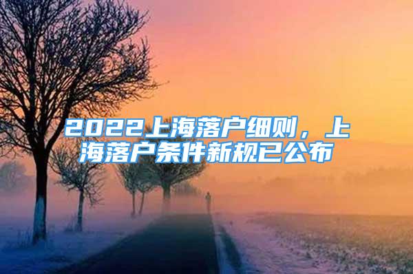 2022上海落戶(hù)細(xì)則，上海落戶(hù)條件新規(guī)已公布