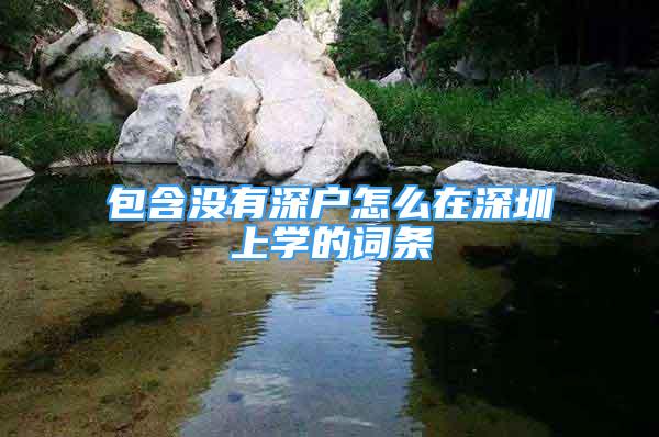 包含沒有深戶怎么在深圳上學(xué)的詞條