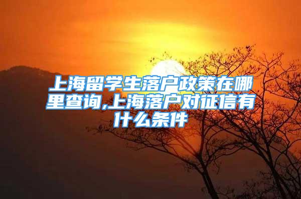 上海留學(xué)生落戶政策在哪里查詢,上海落戶對(duì)征信有什么條件