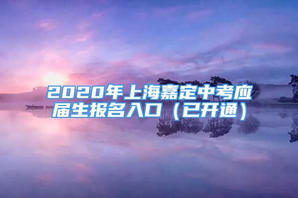 2020年上海嘉定中考應屆生報名入口（已開通）