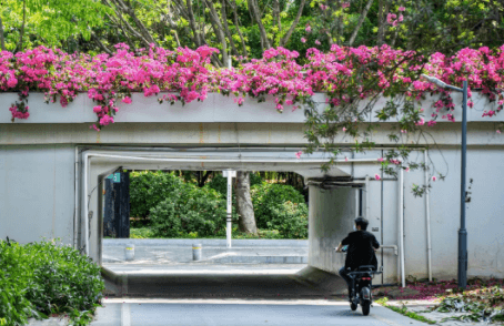 深圳羅湖區(qū)港澳臺居民居住證補辦地點 深圳羅湖區(qū)港澳臺居民居住證補辦地點