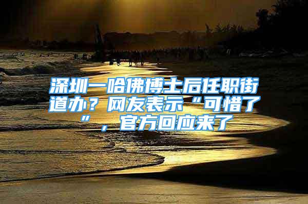 深圳一哈佛博士后任職街道辦？網(wǎng)友表示“可惜了”，官方回應(yīng)來(lái)了