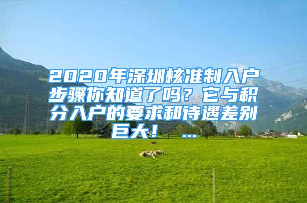 2020年深圳核準制入戶步驟你知道了嗎？它與積分入戶的要求和待遇差別巨大！ ...