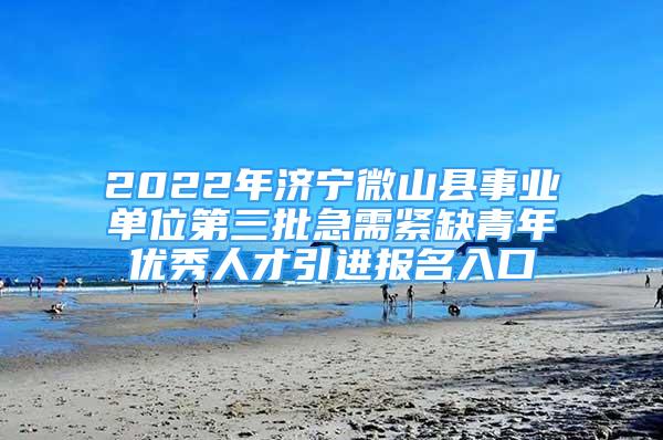 2022年濟(jì)寧微山縣事業(yè)單位第三批急需緊缺青年優(yōu)秀人才引進(jìn)報(bào)名入口