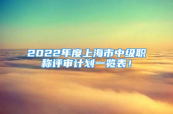 2022年度上海市中級職稱評審計劃一覽表！