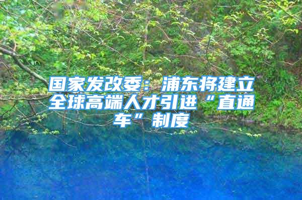 國家發(fā)改委：浦東將建立全球高端人才引進(jìn)“直通車”制度