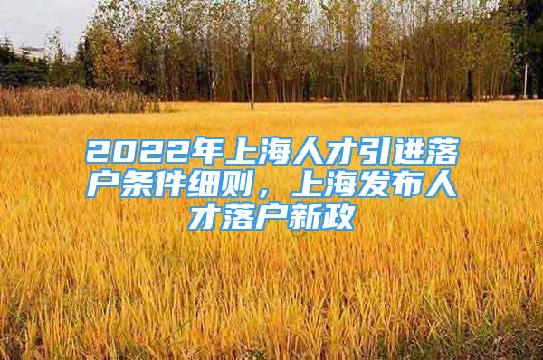 2022年上海人才引進(jìn)落戶條件細(xì)則，上海發(fā)布人才落戶新政