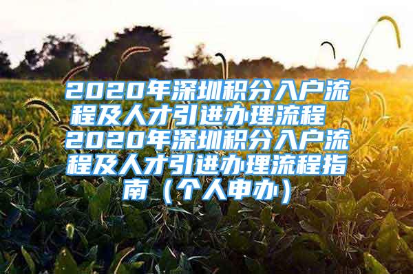 2020年深圳積分入戶流程及人才引進辦理流程 2020年深圳積分入戶流程及人才引進辦理流程指南（個人申辦）