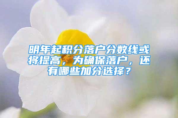 明年起積分落戶分?jǐn)?shù)線或?qū)⑻岣?，為確保落戶，還有哪些加分選擇？