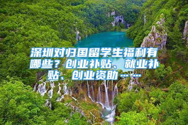 深圳對(duì)歸國(guó)留學(xué)生福利有哪些？創(chuàng)業(yè)補(bǔ)貼、就業(yè)補(bǔ)貼、創(chuàng)業(yè)資助……