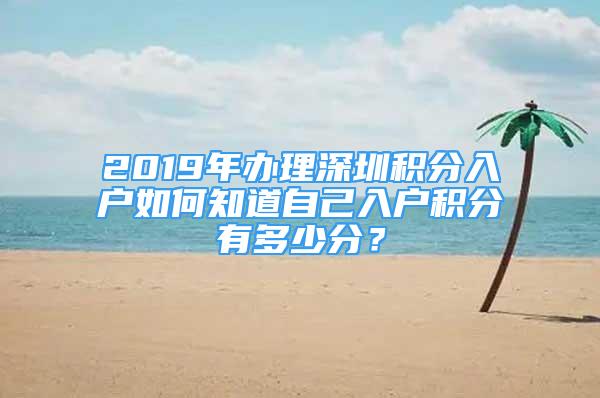 2019年辦理深圳積分入戶如何知道自己入戶積分有多少分？