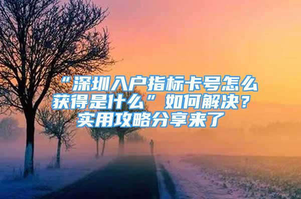 “深圳入戶指標(biāo)卡號怎么獲得是什么”如何解決？實用攻略分享來了