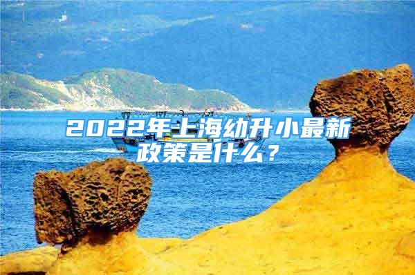 2022年上海幼升小最新政策是什么？