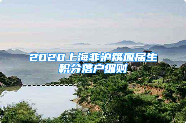 2020上海非滬籍應(yīng)屆生積分落戶細(xì)則