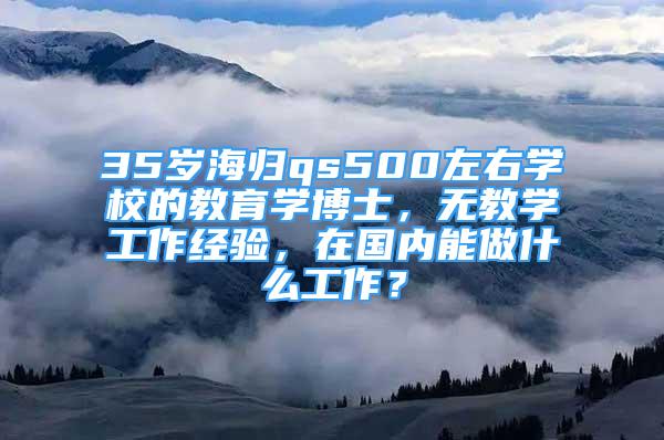 35歲海歸qs500左右學校的教育學博士，無教學工作經(jīng)驗，在國內(nèi)能做什么工作？