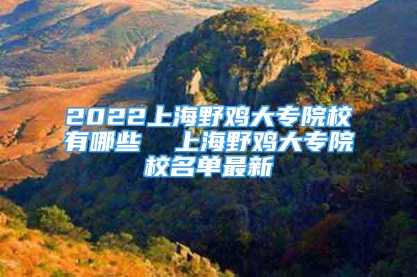 2022上海野雞大專院校有哪些  上海野雞大專院校名單最新