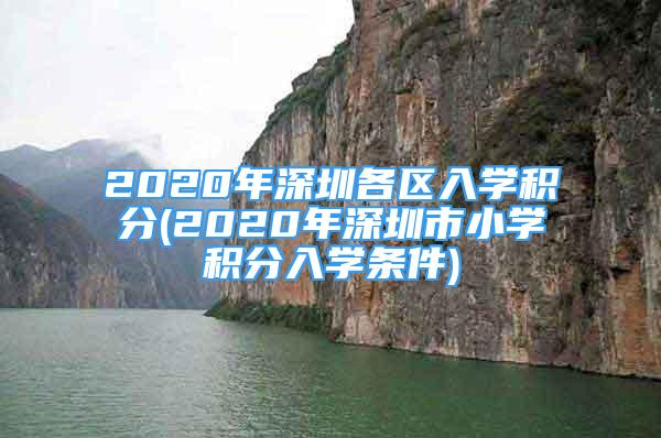 2020年深圳各區(qū)入學(xué)積分(2020年深圳市小學(xué)積分入學(xué)條件)