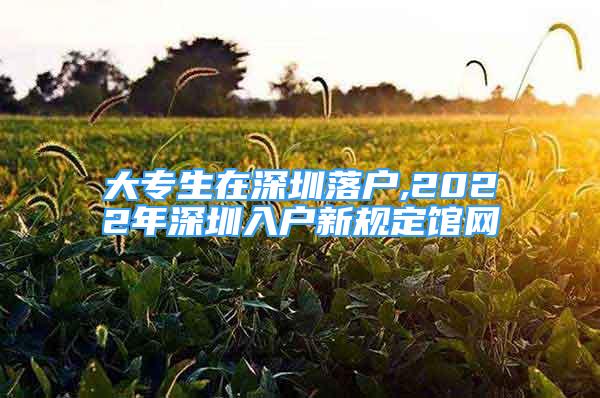 大專生在深圳落戶,2022年深圳入戶新規(guī)定館網(wǎng)