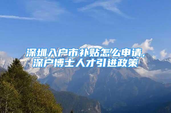 深圳入戶市補貼怎么申請,深戶博士人才引進政策