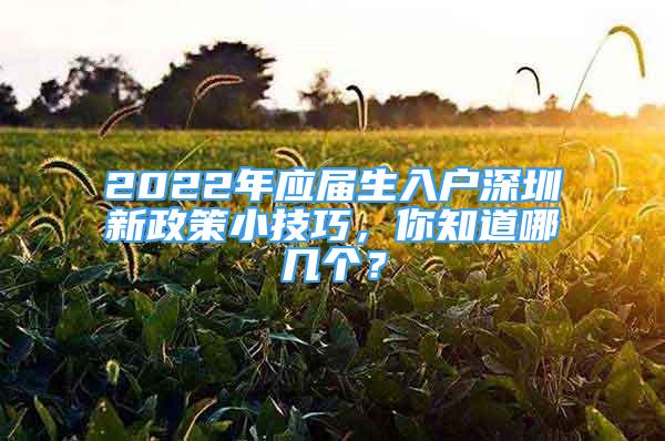 2022年應(yīng)屆生入戶深圳新政策小技巧，你知道哪幾個？