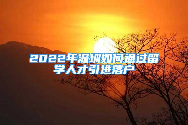 2022年深圳如何通過(guò)留學(xué)人才引進(jìn)落戶(hù)