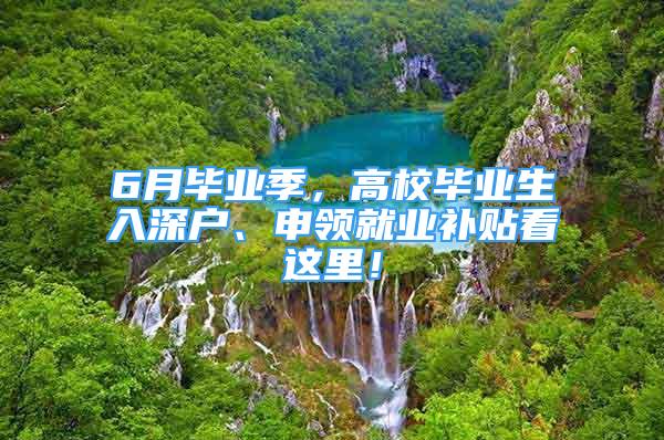 6月畢業(yè)季，高校畢業(yè)生入深戶(hù)、申領(lǐng)就業(yè)補(bǔ)貼看這里！