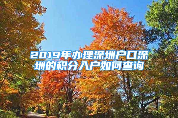 2019年辦理深圳戶口深圳的積分入戶如何查詢