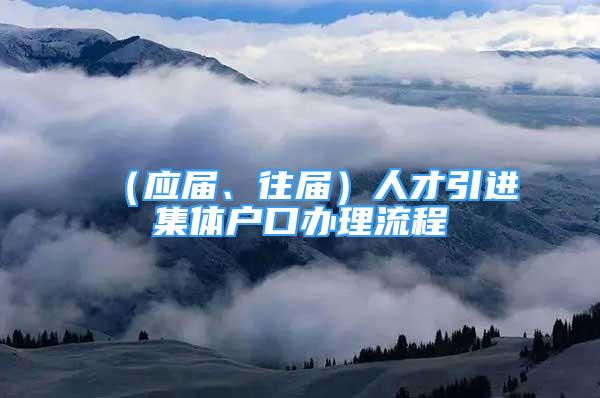 （應(yīng)屆、往屆）人才引進(jìn)集體戶口辦理流程