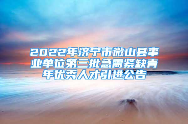 2022年濟寧市微山縣事業(yè)單位第三批急需緊缺青年優(yōu)秀人才引進公告