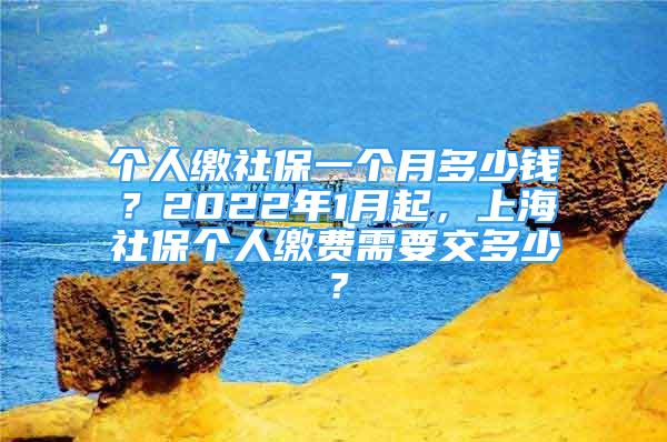 個(gè)人繳社保一個(gè)月多少錢？2022年1月起，上海社保個(gè)人繳費(fèi)需要交多少？